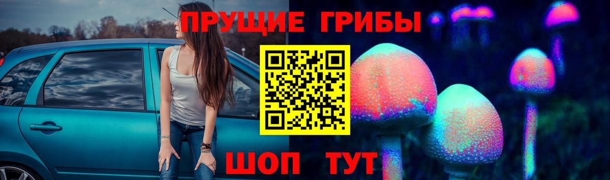 Псилоцибиновые грибы GOLDEN TEACHER  Вход с VPN  Зеленогорск 